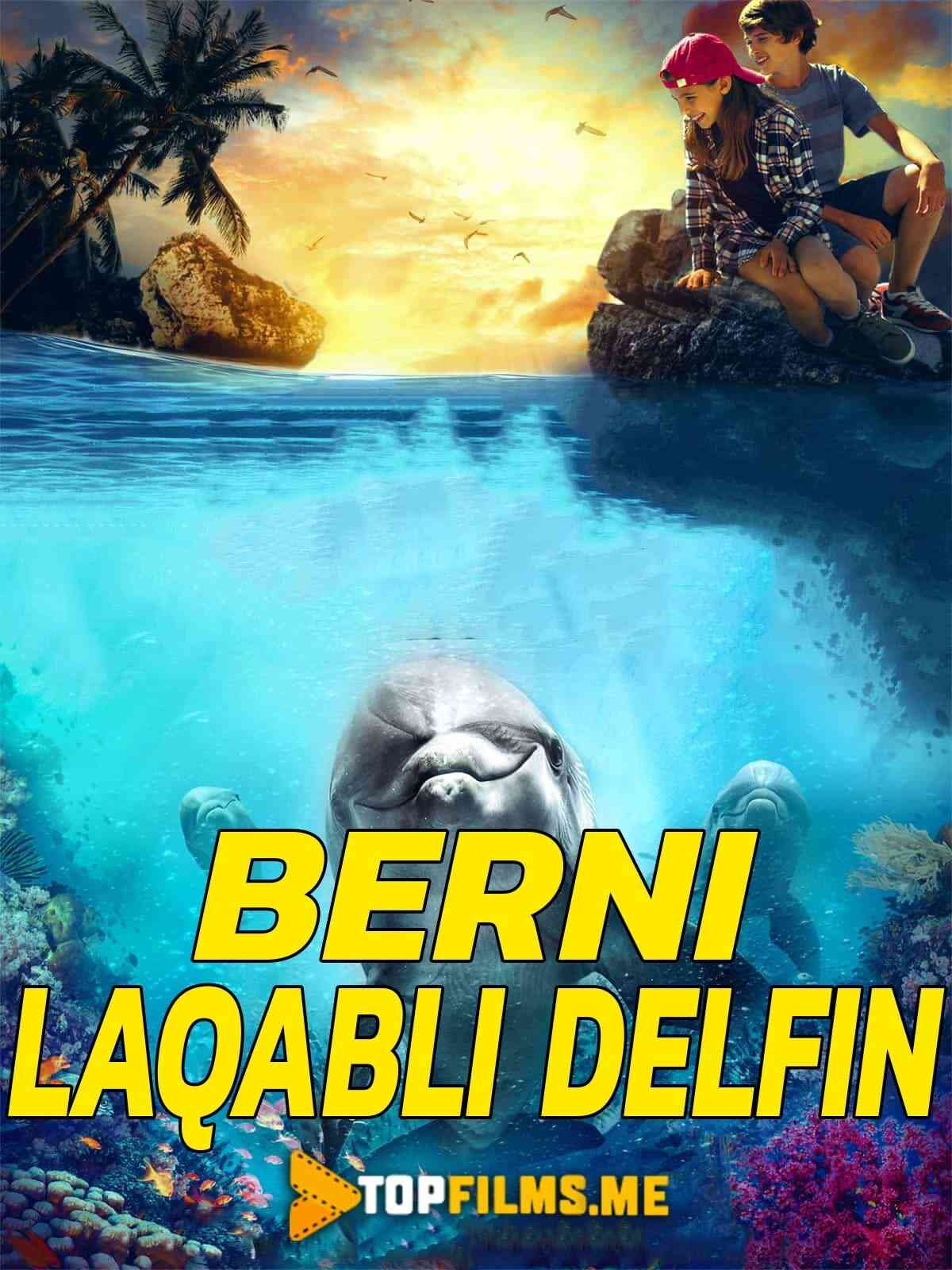 Berni laqalbli delfin
