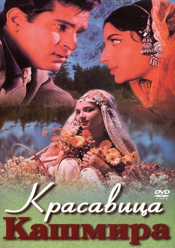 Kashmir go'zali