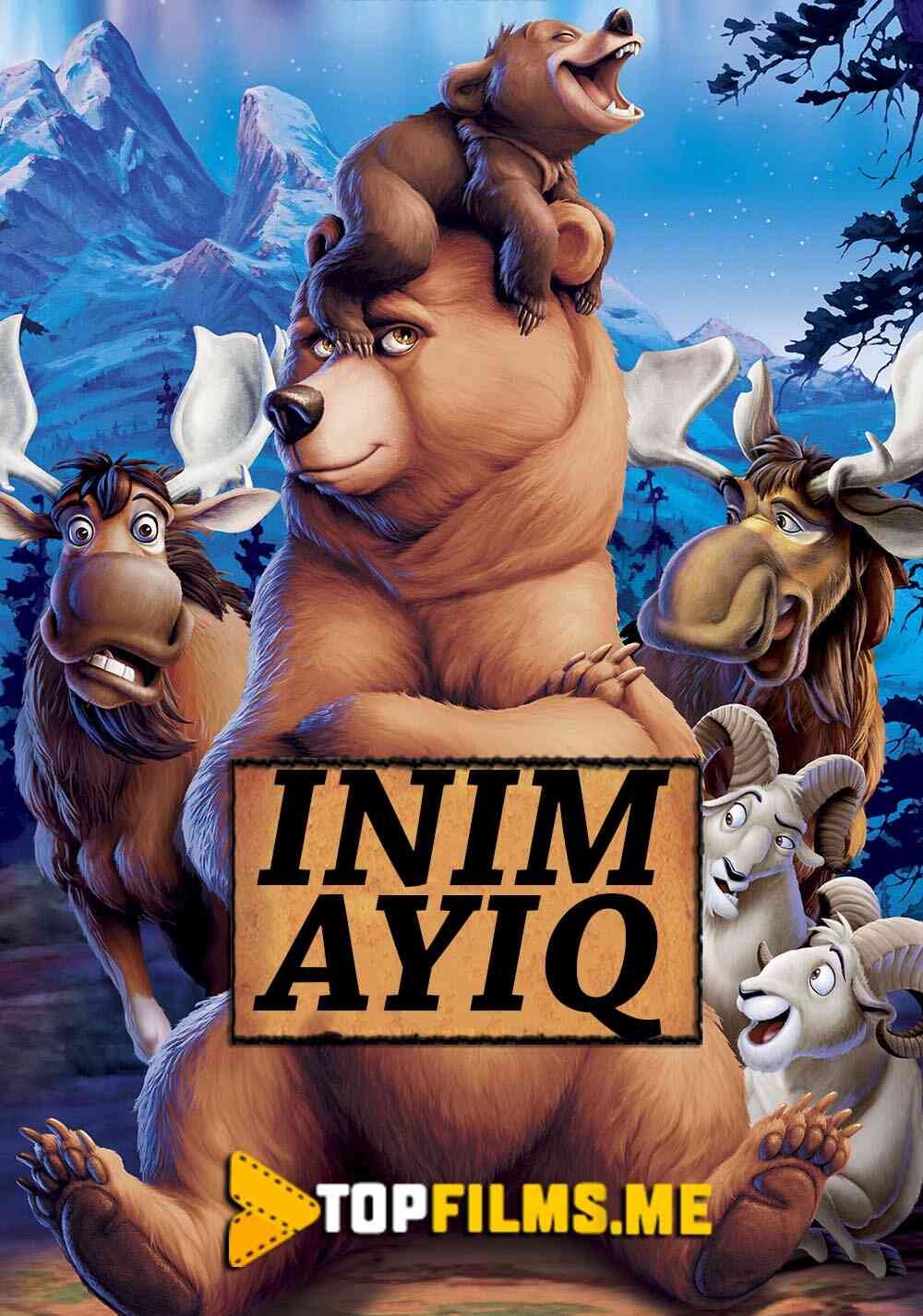 Inim ayiq