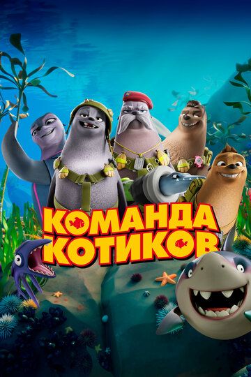 Dengiz mushuklari