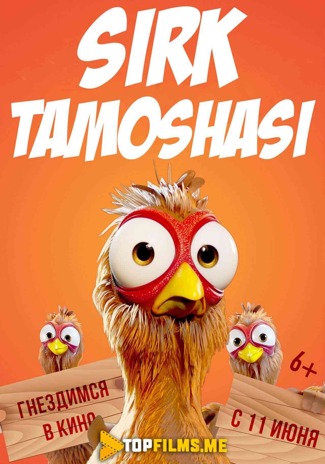 Sirk tamoshasi