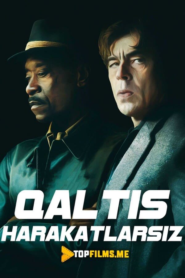 Qaltis harakatlarsiz