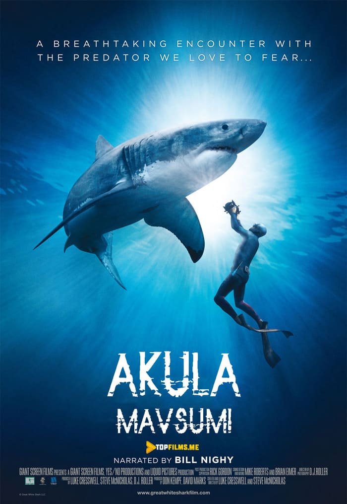 Akula Mavsumi / Akula Mavsumi