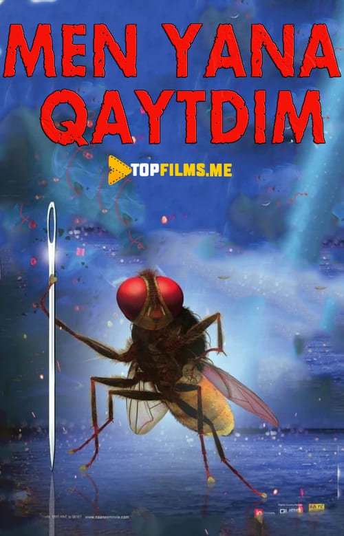 Men yana qaytdim