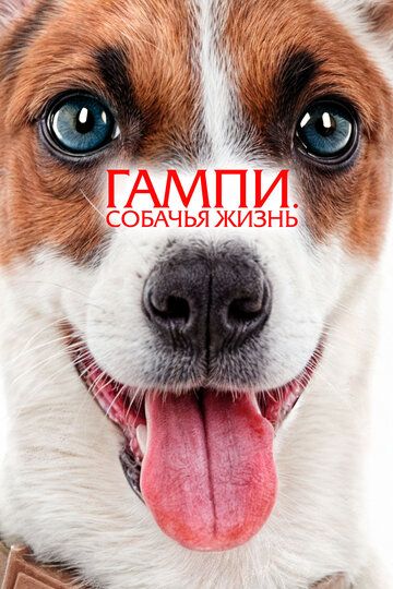 Gampi. Itlar hayoti / Gampining sarguzashtlari