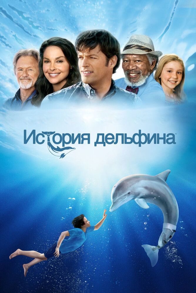 Delfin qissasi 1