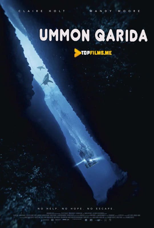 Ummon qarida