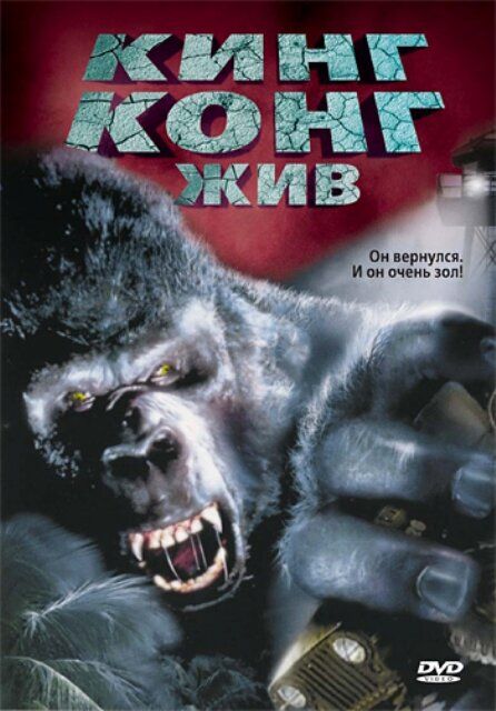 King kong hali tirik